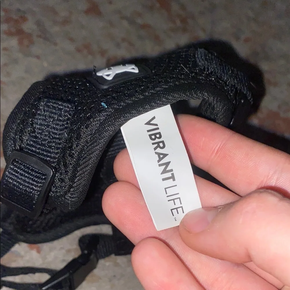 Black Cat Pet Harness